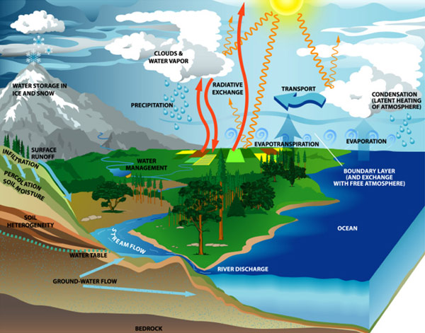 hydrological-cycle-2